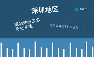 深圳地区定制建设B2B商城系统,与模板电商平台区别何在